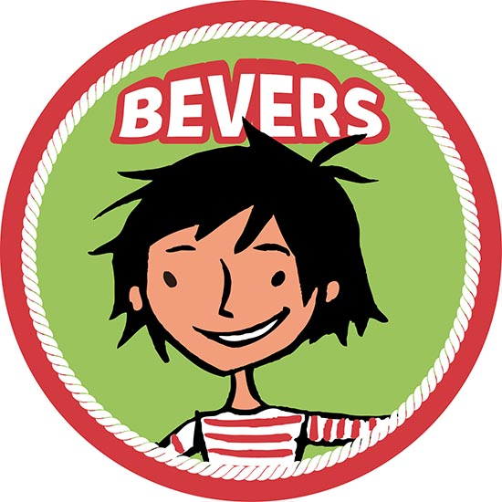 Bevers